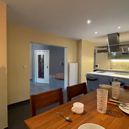 T3 Avec Terrasse, Parking Et Animaux Permis - Fr-1-555-91 アパート エクスレバン