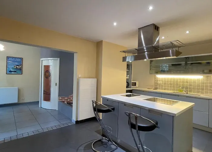 アパート T3 Avec Terrasse, Parking Et Animaux Permis - Fr-1-555-91 *