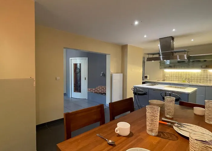 T3 Avec Terrasse, Parking Et Animaux Permis - Fr-1-555-91 アパート エクスレバン